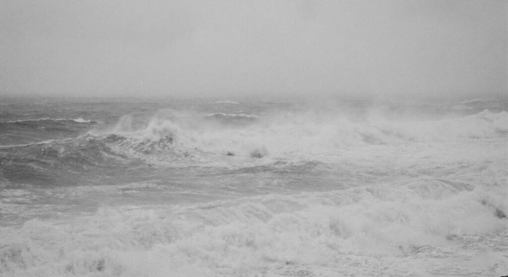 Inteligencia Semiótica